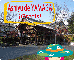 vario kumamoto japòn yamaga tamana kikuchi aso onsen regla ashiyu